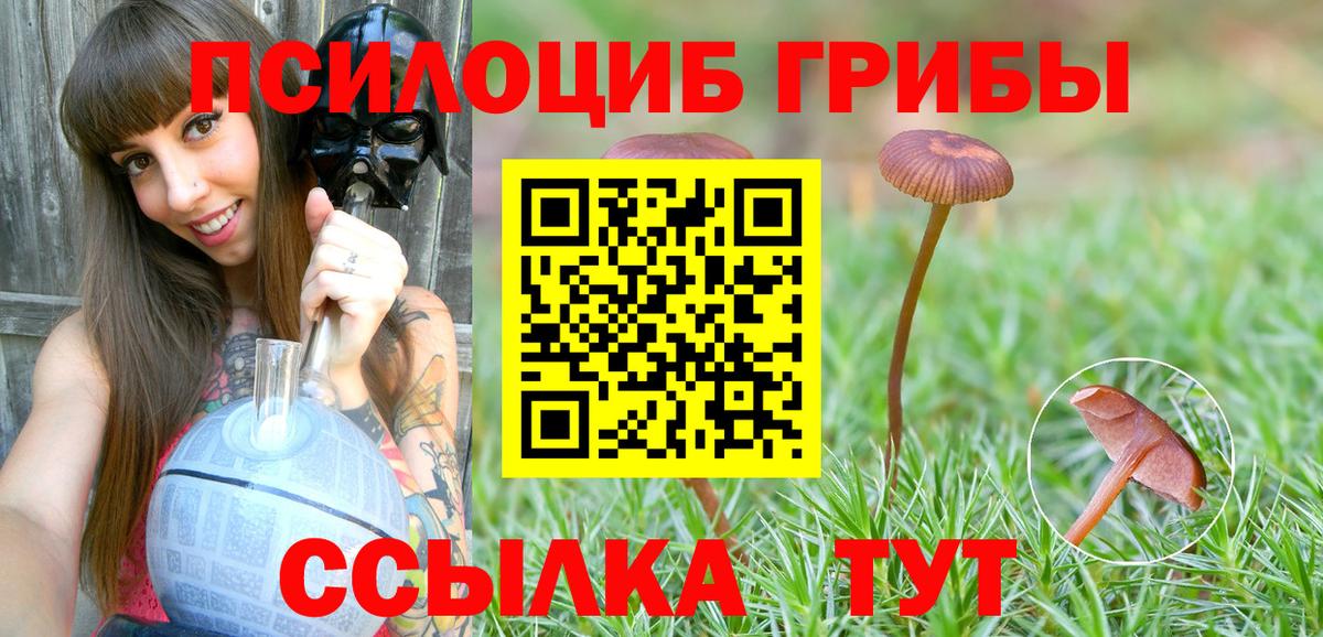 Псилоцибиновые грибы мицелий Коломна